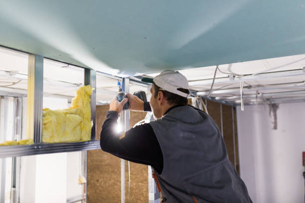 Best Insulation Replacement Services  in Kingsburg, CA